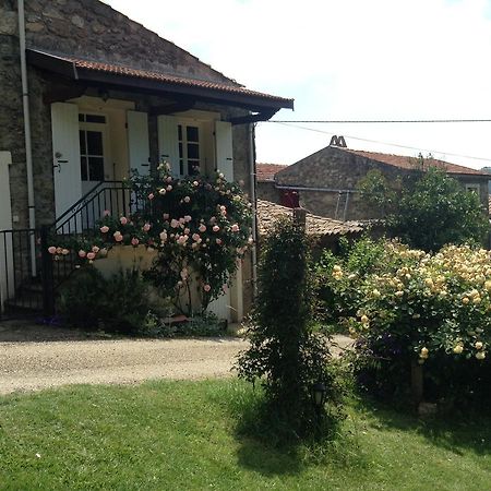 Villa Le Vitrier Saint-Jean-de-Muzols Exterior foto